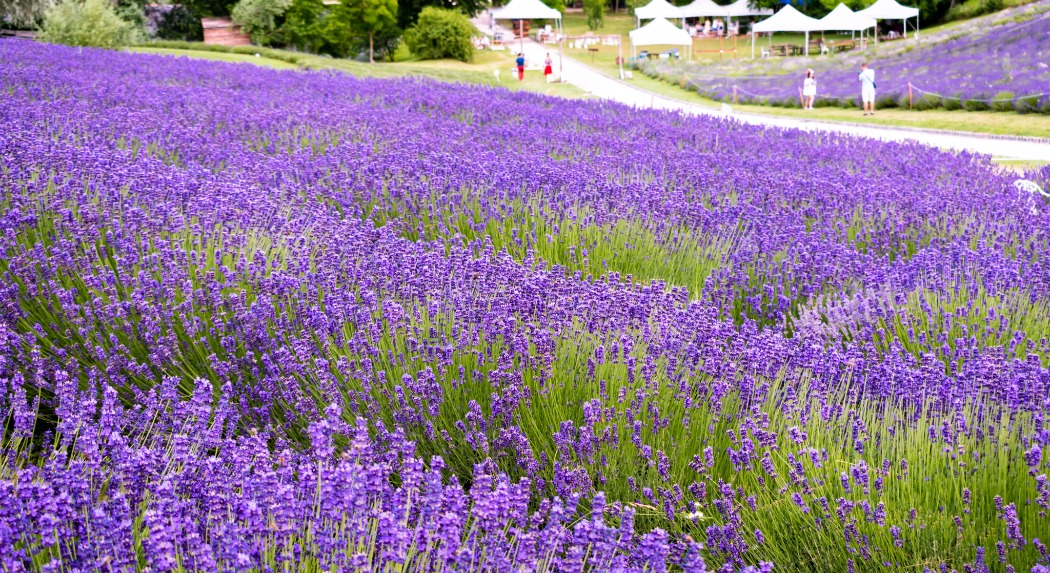 Oktatási Hivatal: új digitális tananyag készült Magyarország nagy tájairól, a videókat a közmédia is bemutatja